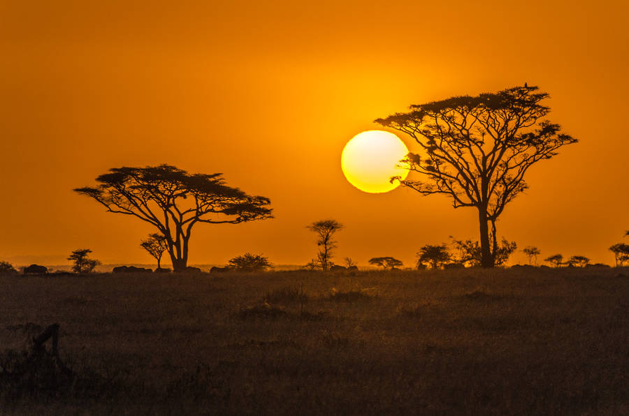 アフリカの夕焼け
