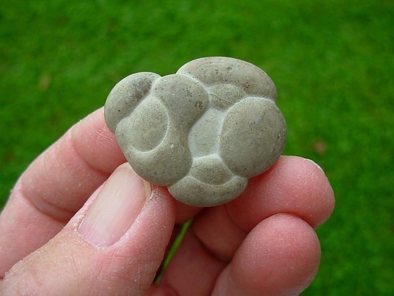 画像はカナダのHarricana川で産出した石