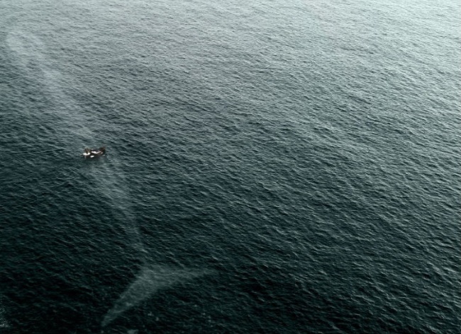 ボートの下に写る不気味なクジラの影