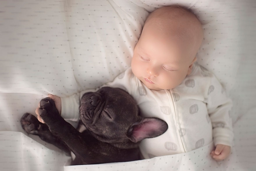 赤ちゃんと子犬の癒し空間