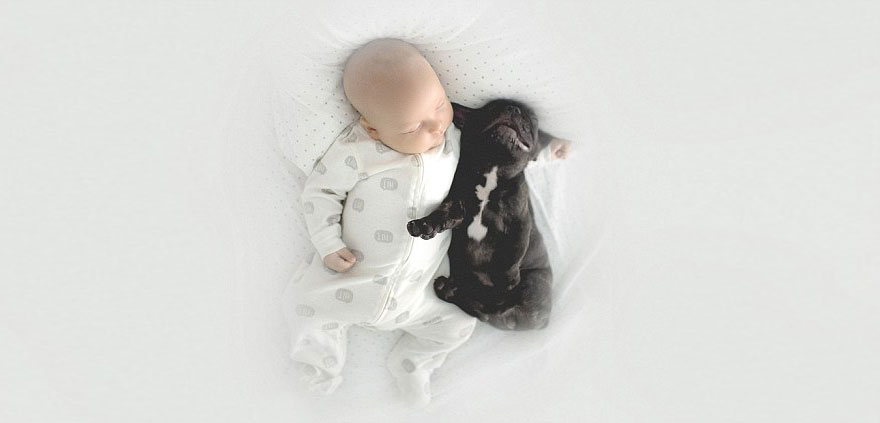 赤ちゃんのディランと子犬のファーリー