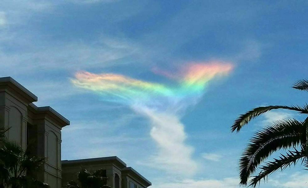 空へ広がる虹の色