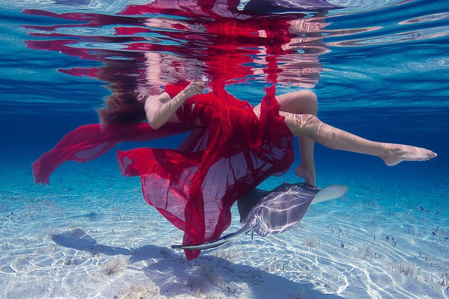 ジンベイザメと泳ぐ美女の海中写真