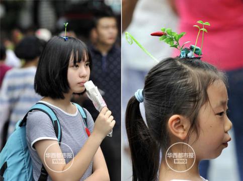頭に植える植物！中国の注目トレンドファッション