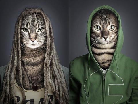 奇妙な猫人間の肖像写真。猫と飼い主の同化プロジェクト